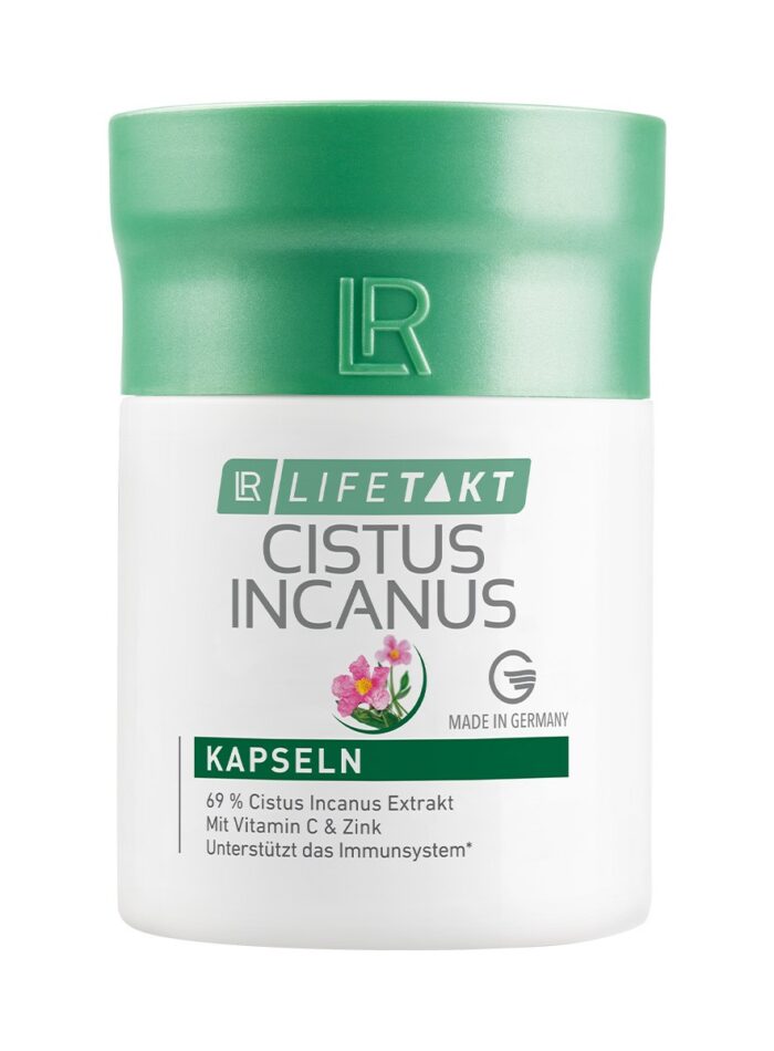 Cistus Incanus - Imagen 1