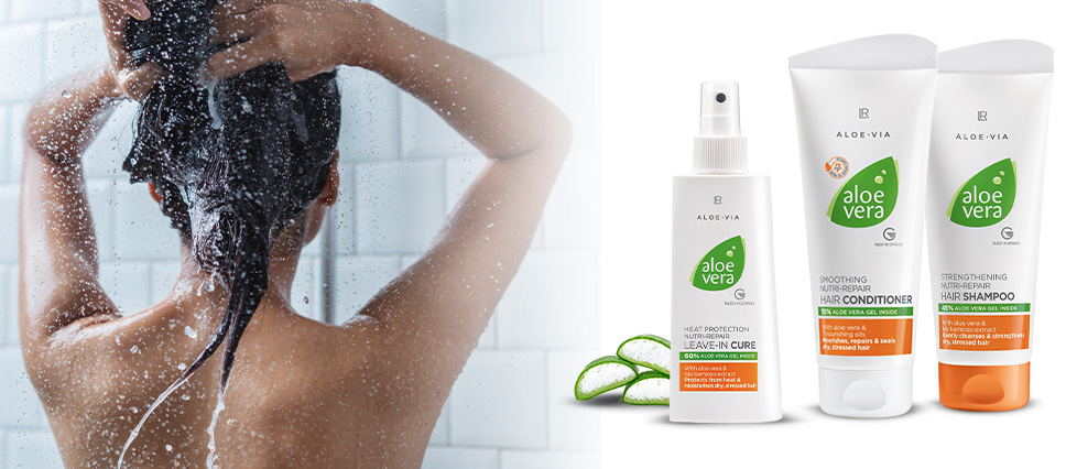 Cuidados del cabello aloe vera